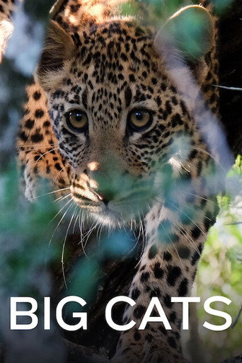 Movie poster for Big Cats