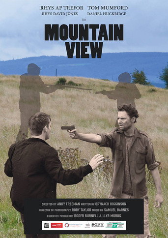 Movie poster for Mountain View (2014)