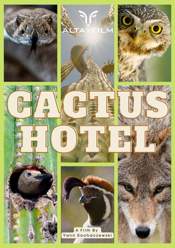 Movie poster for Cactus Hotel (2023)