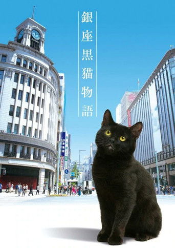 Ginza Black Cat Story poster