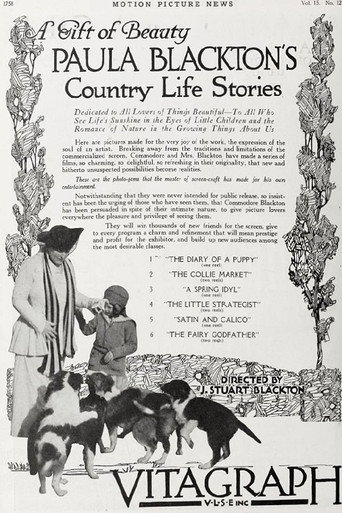 Movie poster for A Spring Idyll (1917)