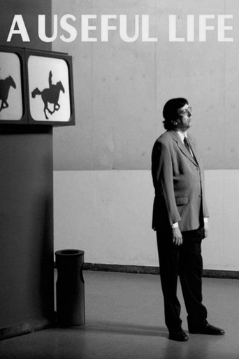 Movie poster for A Useful Life (2010)
