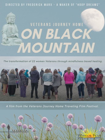Movie poster for Veterans Journey Home: On Black Mountain