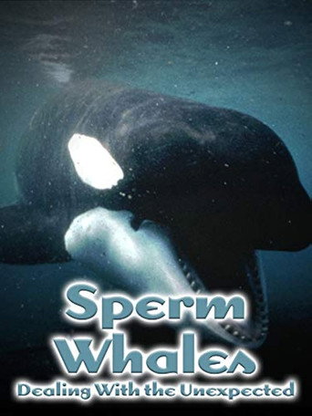 Movie poster for Sperm Whales: Dealing with the Unexpected (2005)