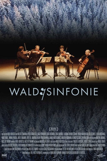 Movie poster for Wald:Sinfonie (2024)