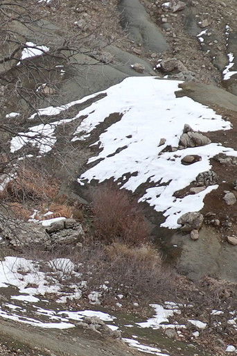 Who is Afraid of Ideology? Part 1 poster