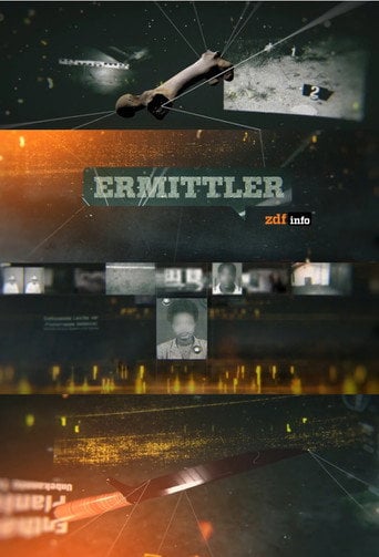 Series poster for Ermittler! (2018)