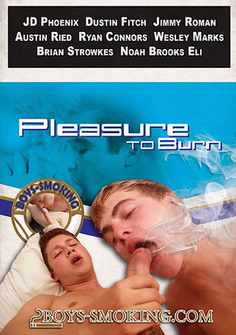 Movie poster for Pleasure to Burn (2016)