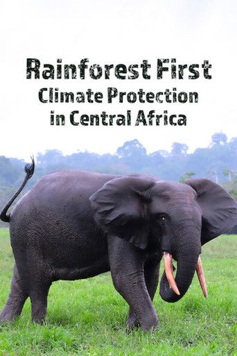 Rainforest First: Climate Protection in Central Africa poster