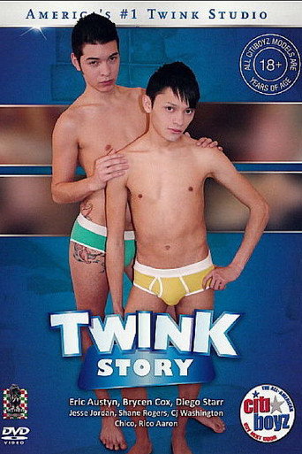 Movie poster for Citi Boyz 64: Twink Story (2011)