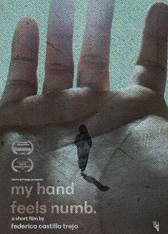 Movie poster for My Hand Feels Numb. (2025)