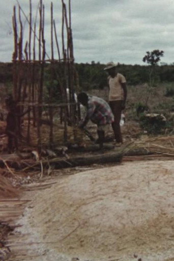 Movie poster for Making Toasted Cassava Flour