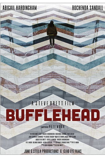 Bufflehead poster