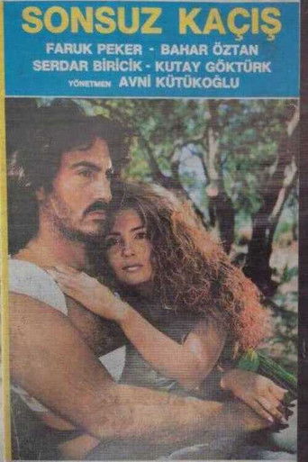 The Endless Escape poster