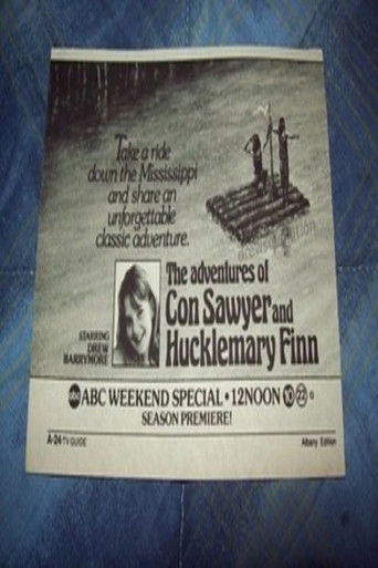 The Adventures of Con Sawyer and Hucklemary Finn poster
