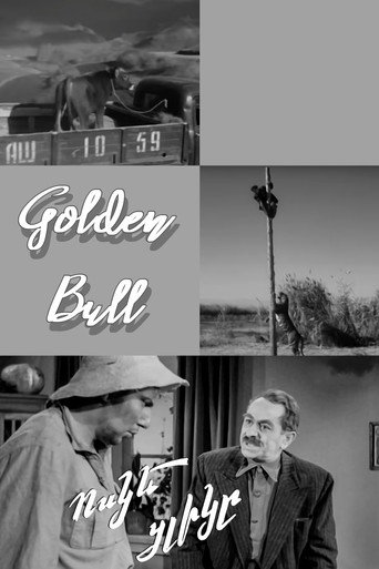Movie poster for Golden Bull Calf (1955)