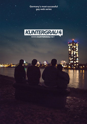 Series poster for Kuntergrau (2015)