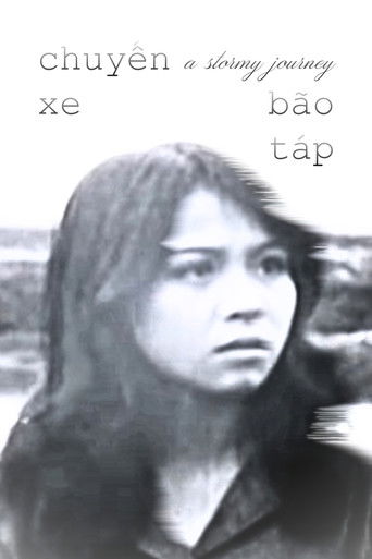 A Stormy Journey poster