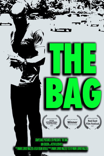 Movie poster for The Bag (2017)
