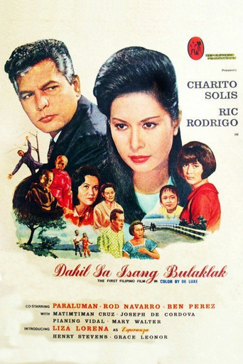 Movie poster for Because of a Flower (1967)