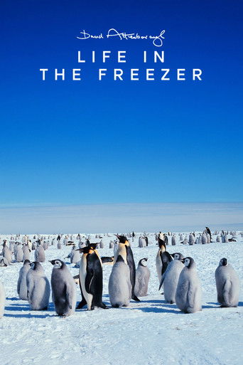 Life in the Freezer poster