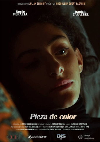 Movie poster for Fading Colors