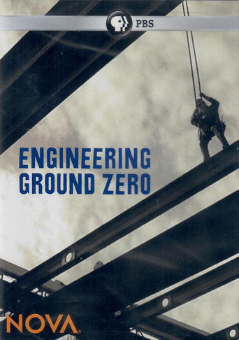 Movie poster for Engineering Ground Zero (2011)