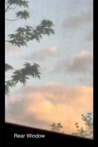 Movie poster for Rear Window (2025)