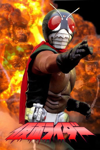 Kamen Rider (Skyrider) poster