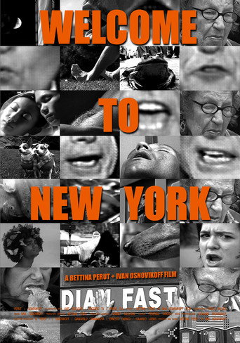 Movie poster for Welcome to New York (2006)