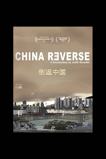 Movie poster for China Reverse (2013)