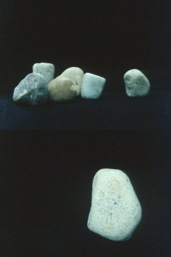 Movie poster for Rocks (1985)
