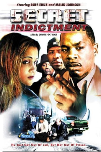 Movie poster for Secret Indictment (2002)