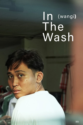Movie poster for In The Wash