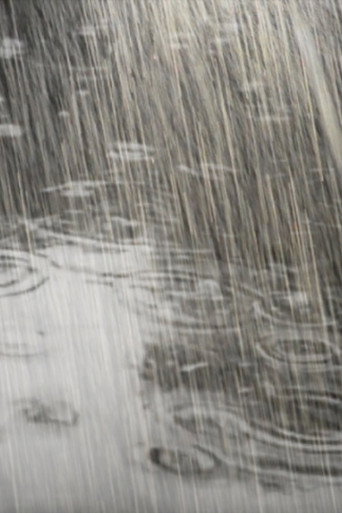 Movie poster for Rain: Then and Now (2019)