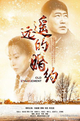 遥远的婚约 poster