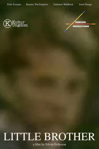 Movie poster for Little Brother (2020)
