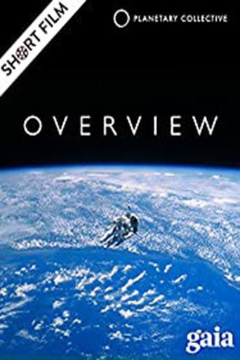 Movie poster for Overview (2012)