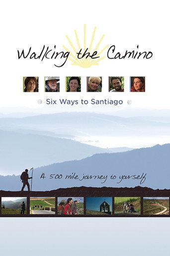 Movie poster for Walking the Camino: Six Ways to Santiago (2013)
