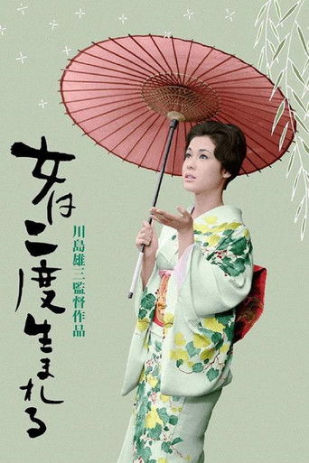 A Geisha's Diary poster