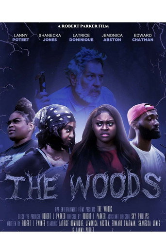 Movie poster for The Woods
