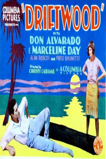 Movie poster for Driftwood (1928)