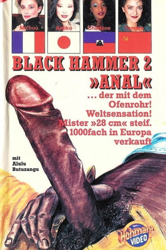 Movie poster for Le Marteau Pilon Anal (1991)