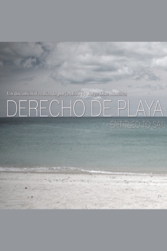 Movie poster for Derecho de playa (2016)