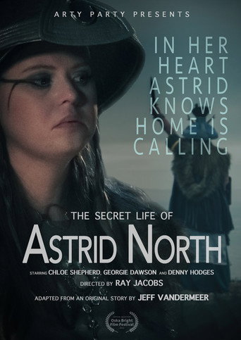 Movie poster for The Secret Life of Astrid North