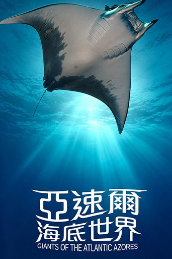 Movie poster for 亚速尔海底世界 (2016)