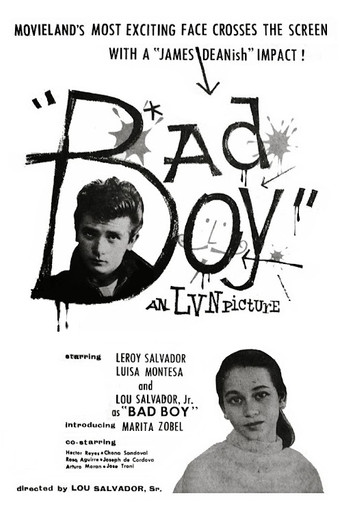 Movie poster for Bad Boy (1957)