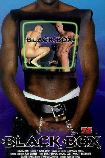 Movie poster for Black Box (1999)