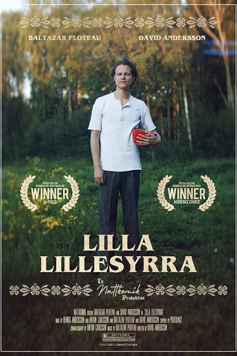 Movie poster for Lilla Lillesyrra (2019)