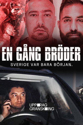 Series poster for Mission: Investigate – Once Brothers (2025)